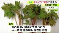 卵とじにして食べたのは「トリカブト」か 別の野草と間違えて採ったとみられる男性がしびれ訴え一時意識不明に