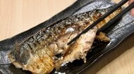 サバが“高級魚”に？漁獲量10年で半減し価格が上昇　愛媛で完全養殖に成功　人気の「サヴァ缶」は販売再開
