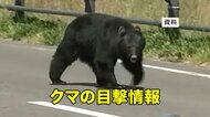 【クマ目撃】久慈市の陸中夏井駅付近でクマ1頭目撃　岩手県