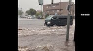 関東各地に「ゲリラ雷雨」　住宅街で“ひょう”の雨　都内で冠水被害も　駅乗り換え客を襲う横殴りの雨風