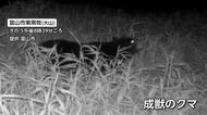 富山市大山地区のＡＩカメラに成獣クマ　爪痕なども発見され富山市が注意を呼びかけ