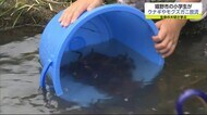 児童がウナギとモクズガニ放流 生命の大切さ学ぶ【佐賀県】
