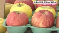 沖縄・国頭村で長野りんご特別販売 2日まで