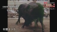 昭和から平成へ「忘れられない夏の思い出」宇和島の闘牛大会から土用の丑の日まで　シリーズ「愛媛の昭和１００年」【愛媛発】