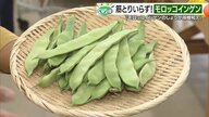 豆類とは思えない独特の姿　モロッコインゲンの甘み豊かな食感が夏の食欲をそそる 松山市の「太陽市」で人気の一品【愛媛発】