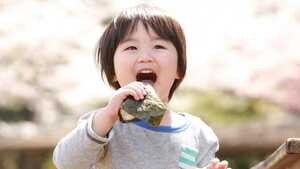 奈良公園でのお弁当は「おにぎり限定」で…奈良の幼稚園の独特ルールに県民が続々と反応