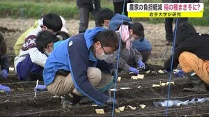 農家の負担を軽減 稲の種まき初冬に? 岩手大学が研究<岩手県>