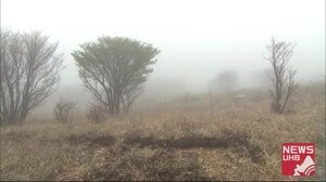 家族3人で登山した