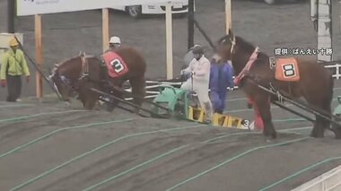 「言うこと聞かずイライラ」騎手が馬の顔を蹴り批判殺到 デビューかけた能力検査で “障害”越えられず