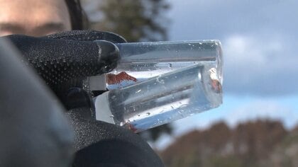 「記録がない」「初めて見た」研究員も驚く海の異変 南三陸で潜水調査 イセエビだけじゃない生き物の変化【宮城発】