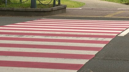 「モデル横断歩道」紅白に塗り一時停止率上昇　歩行者優先も約36%のドライバーがルール違反の現状