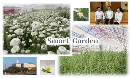 花王が、立ち上げた植物工場「スマートガーデン」~農業素人の研究員が、植物のパワーを閉じ込めた貴重な植物エキスを作り上げるまで