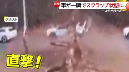 「あと数cmで死んでいたかも…」巨大な木が突然倒れ車が一瞬で“ぺちゃんこ”に…運転手は自力で脱出　アメリカ・ペンシルベニア州