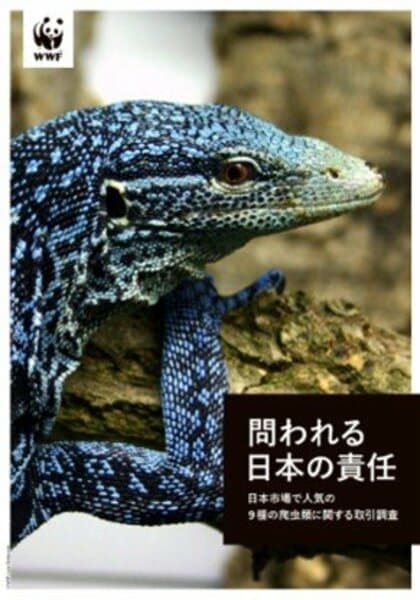 爬虫類9種の取引レポート「問われる日本の責任」を発表　合法性・持続可能性が疑われる種が、ペットとして活発に取引されている実態が明らかに