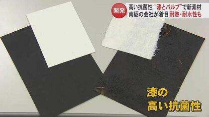 “漆とパルプ”で脱プラへ　抗菌・耐熱・耐水を兼ね備えた新素材「ウルシート」　世界に発信を