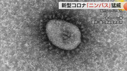 「カミソリの刃を飲み込んだよう…」新型コロナ「ニンバス」夏休み明け学校起点に拡大の恐れ　島根と鳥取でも感染急増