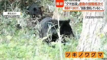 東京・奥多摩町に遺体…クマによる被害か 八王子市は児童に“クマよけ鈴