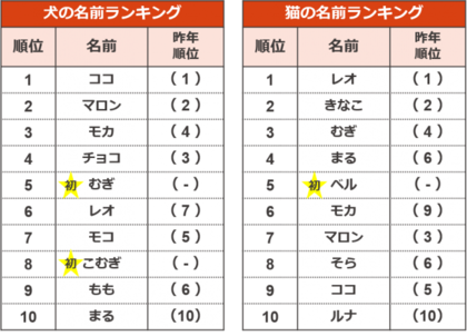 5年分のトレンドも振り返る ペットの名前ランキング 犬 ココ と猫 レオ が連覇達成 令和ネームも増加中