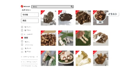 きのこ出品 新装版山溪フィールドブックス きのこ詳細情報【菌類】 - 図鑑.jp