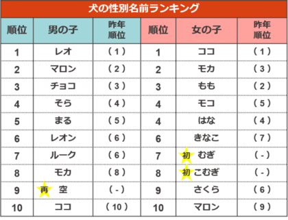 5年分のトレンドも振り返る ペットの名前ランキング 犬 ココ と猫 レオ が連覇達成 令和ネームも増加中