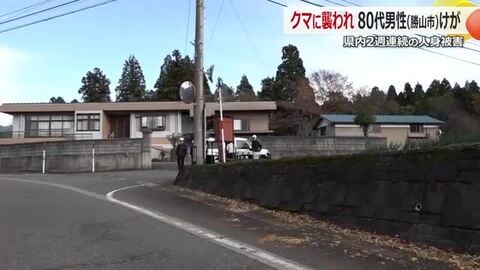 庭で作業中の80代男性がクマに顔をひっかかれる　近くにいた妻が119番通報　市などが捜索もクマの姿は確認できず　福井・勝山市
