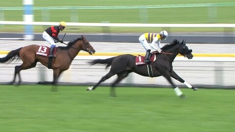 【毎日王冠・G2】大接戦！5番人気セイウンハーデスがゴール寸前で差し切り重賞3勝目