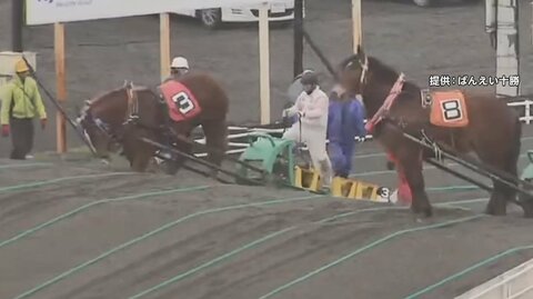 「言うこと聞かずイライラ」騎手が馬の顔を蹴り批判殺到 デビューかけた能力検査で “障害”越えられず