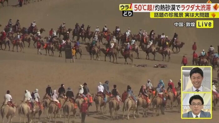 敦煌のラクダ渋滞