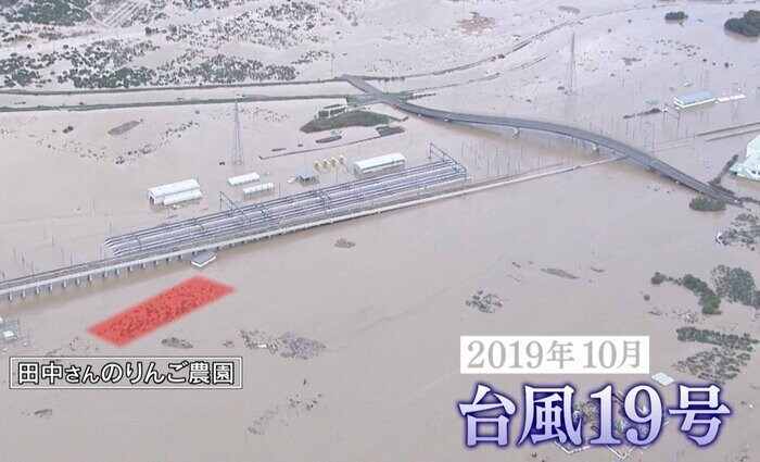 田中さんのりんご農園は完全に水没(19年10月)