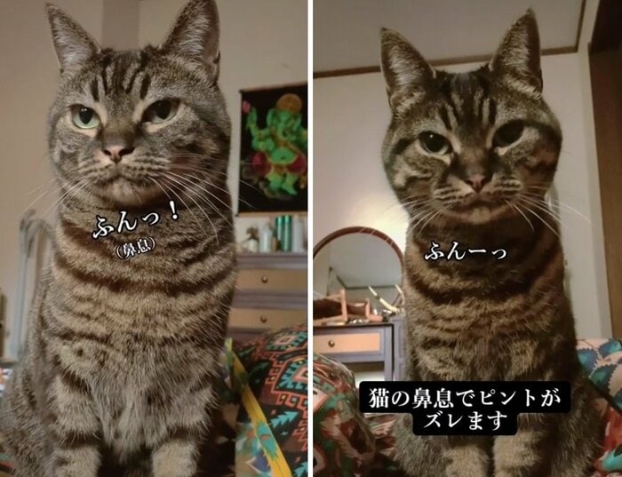 鼻息にもバリエーションが…