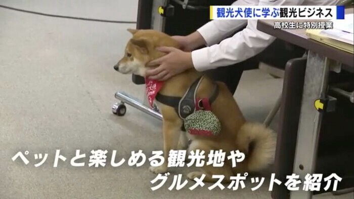 生徒にかわいがられるジェームスくん