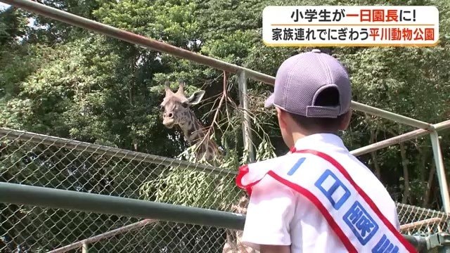 ヒマリを見守る 篠原さん