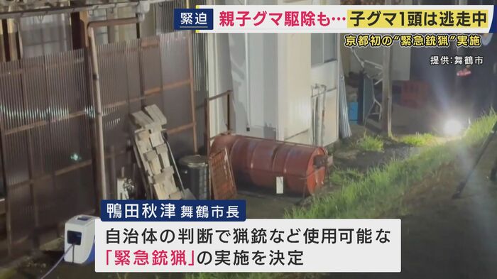 自治体は「緊急銃猟」を決断