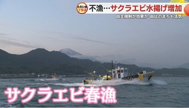 サクラエビ漁に向かう船