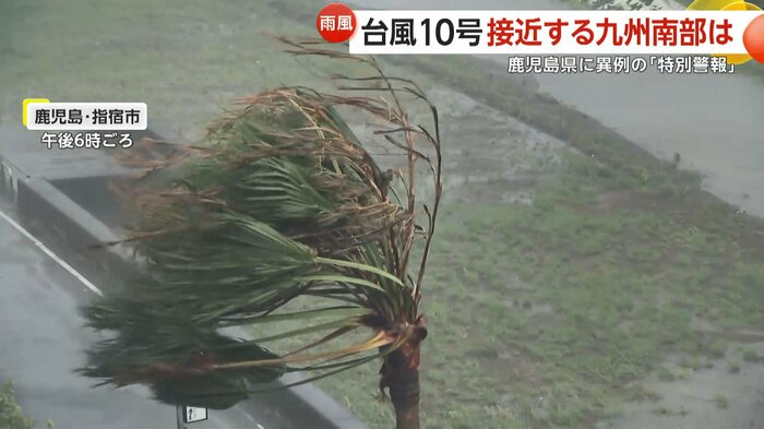 大きく揺れるヤシの木(指宿市・28日午後6時頃)