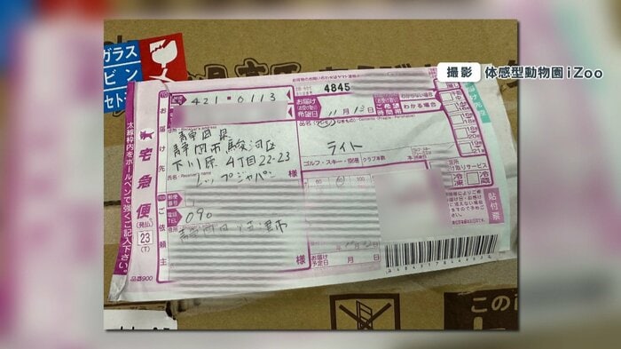 届いた段ボール