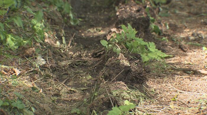 地面にはトラックとみられるタイヤの痕も