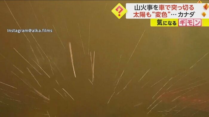 燃えた木々から降りかかる火の粉