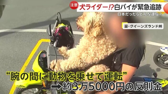 反則金が科せられたライダーの女性(Queensland Police)