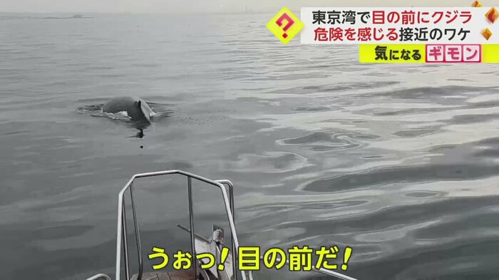 (画像:ビデオポスト(視聴者投稿映像)より)
