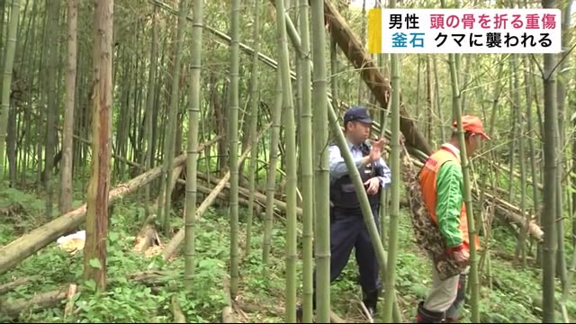 釜石でクマに襲われ頭蓋骨を骨折する重傷 クマの出没情報は全域で983件【岩手県】