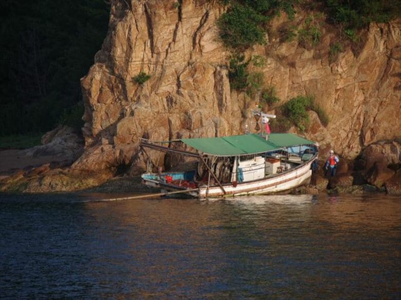 漁網の巻き揚げローラーに挟まれる　1人で底引き網漁の男性（６７）が死亡　広島・倉橋町｜FNNプライムオンライン