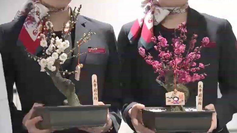 北海道に“春の便り”を　太宰府天満宮『梅の親善使節』が福岡を出発　「少しでも早い春を感じてもらえれば」｜FNNプライムオンライン