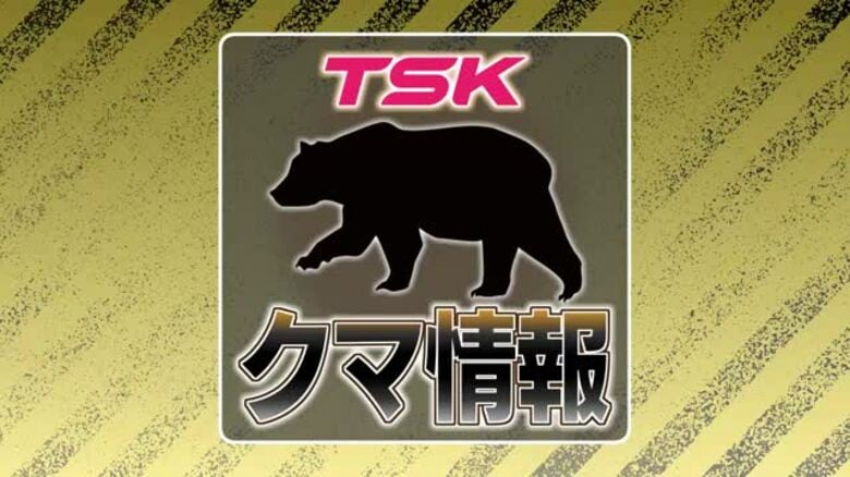 【速報】益田市美都町で男性がツキノワグマに襲われけが　命に別状なし（島根）｜FNNプライムオンライン