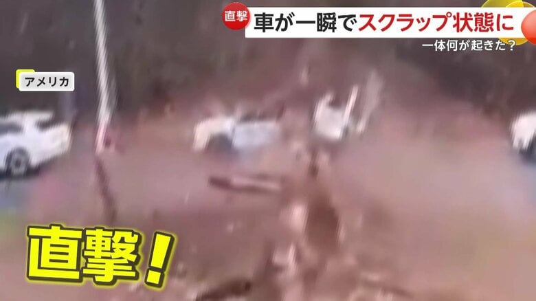 「あと数cmで死んでいたかも…」巨大な木が突然倒れ車が一瞬で“ぺちゃんこ”に…運転手は自力で脱出　アメリカ・ペンシルベニア州｜FNNプライムオンライン