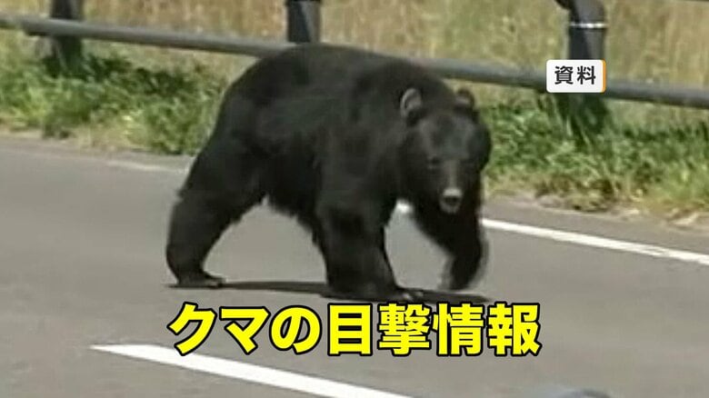 【クマ目撃】久慈市の陸中夏井駅付近でクマ1頭目撃　岩手県｜FNNプライムオンライン