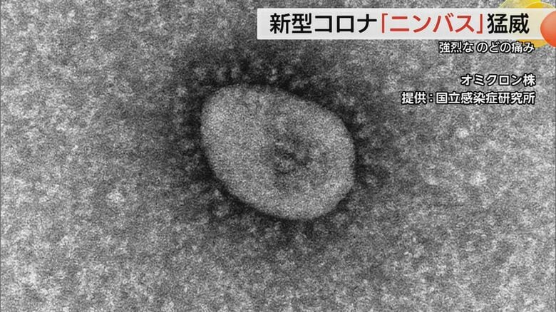 「カミソリの刃を飲み込んだよう…」新型コロナ「ニンバス」夏休み明け学校起点に拡大の恐れ　島根と鳥取でも感染急増｜FNNプライムオンライン