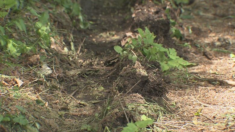 地面にはトラックとみられるタイヤの痕も