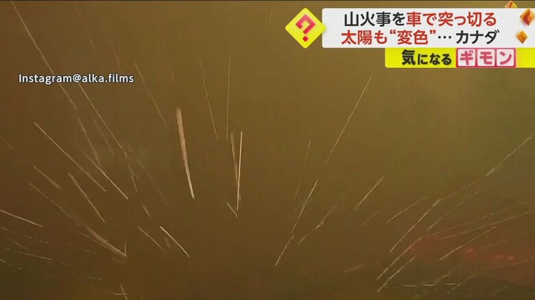 燃えた木々から降りかかる火の粉