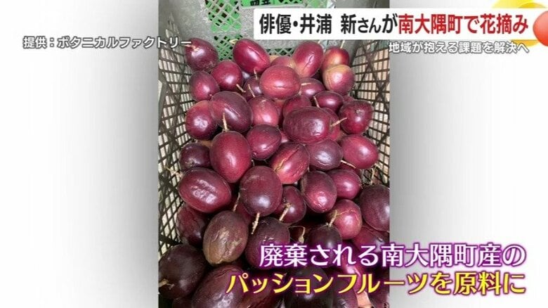 廃棄される南大隅町産のパッションフルーツを買い取って、バームの原料にしている